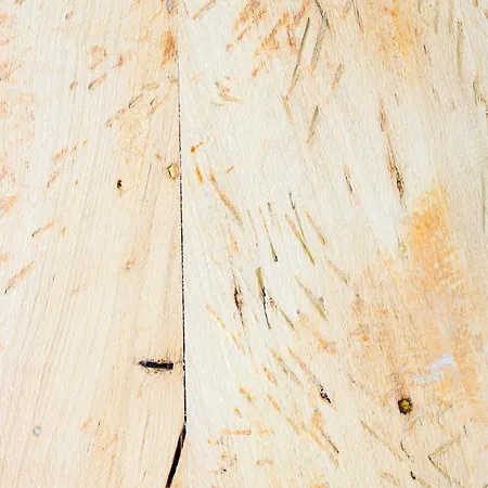 Lejlighed Lussuoso Nel Cuore Del Centro Storico Bologna