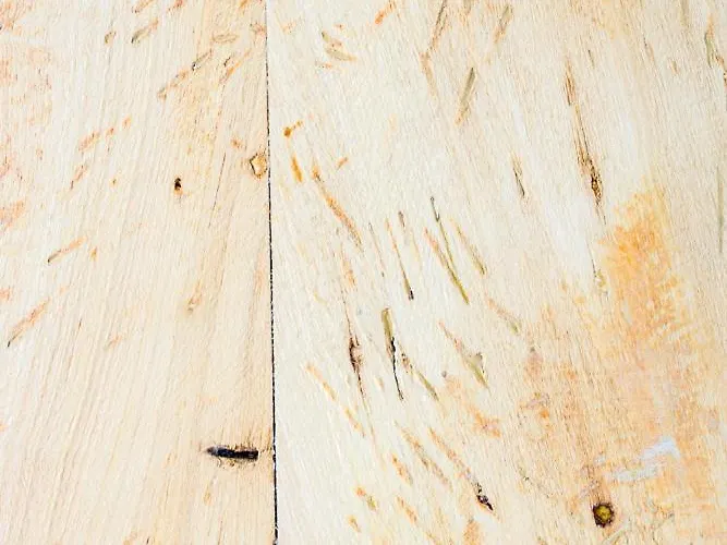 Lejlighed Lussuoso Nel Cuore Del Centro Storico Bologna